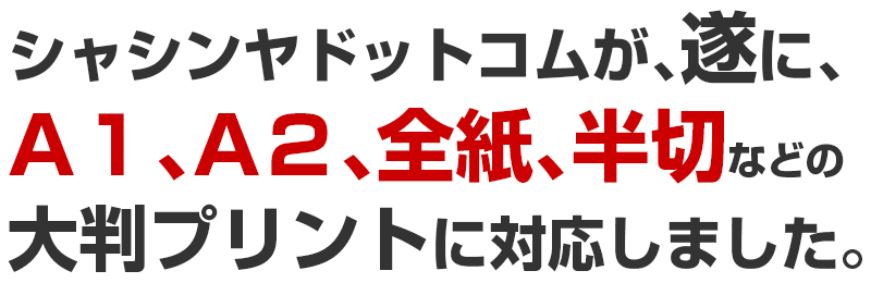 遂にA１､A２､全紙､半切などの大判プリントに対応しました。