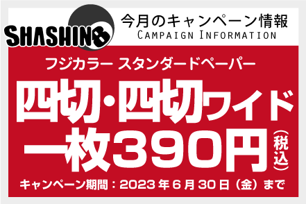 今月のキャンペーン情報