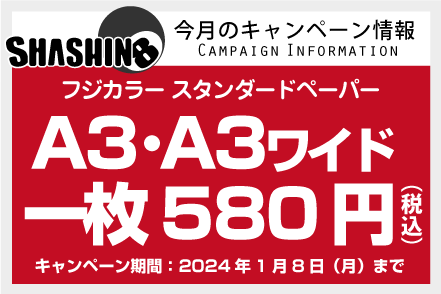 今月のキャンペーン情報