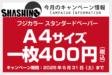 今月のキャンペーン情報