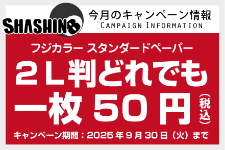今月のキャンペーン情報