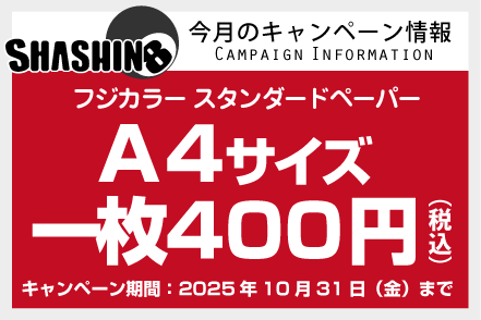 今月のキャンペーン情報