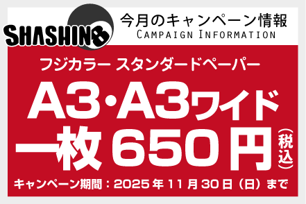 今月のキャンペーン情報