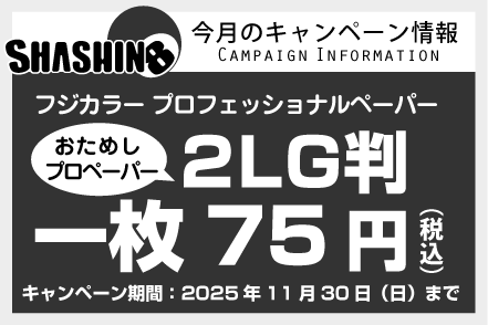 今月のキャンペーン情報