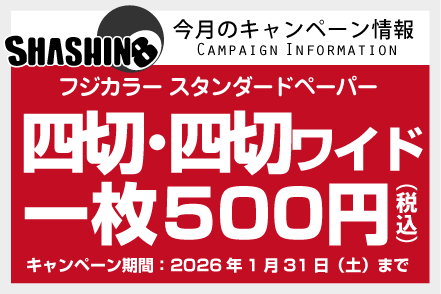 今月のキャンペーン情報