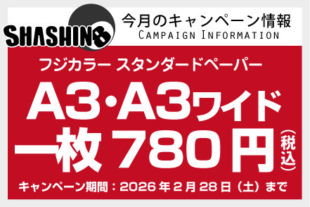 今月のキャンペーン情報