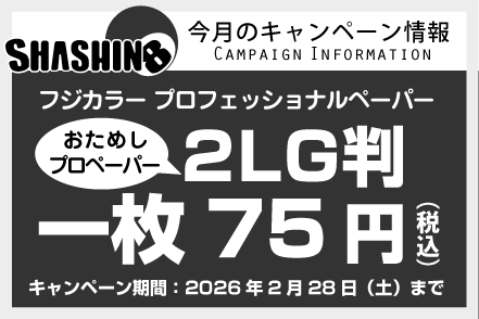 今月のキャンペーン情報