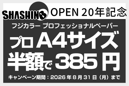 今月のキャンペーン情報